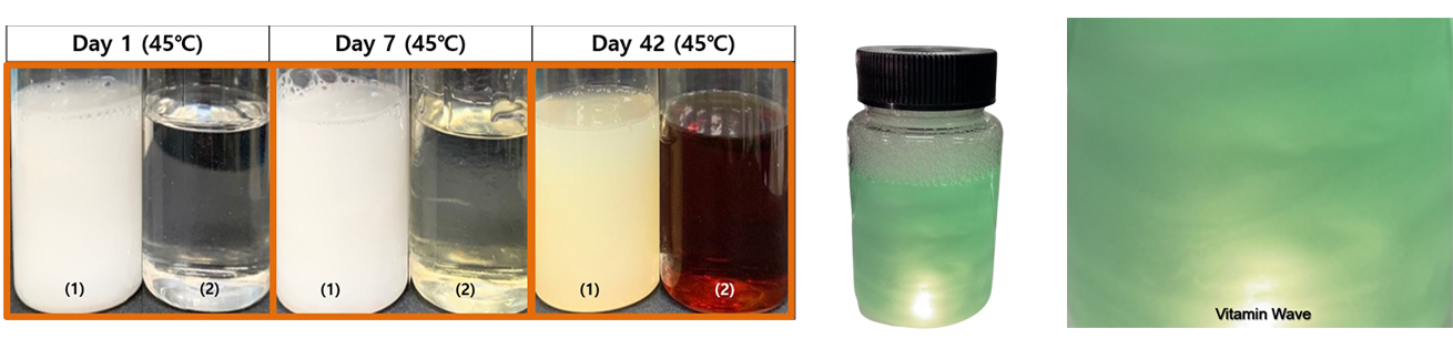 Visible Formulation 이미지