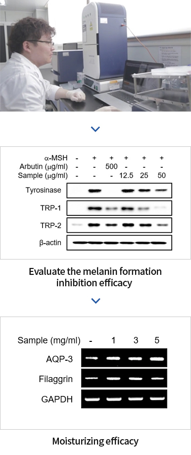 in_vitro 이미지 1